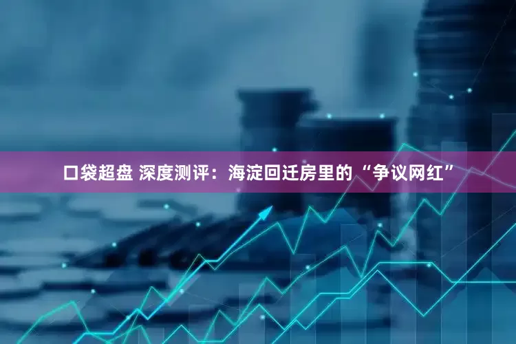 口袋超盘 深度测评：海淀回迁房里的 “争议网红”