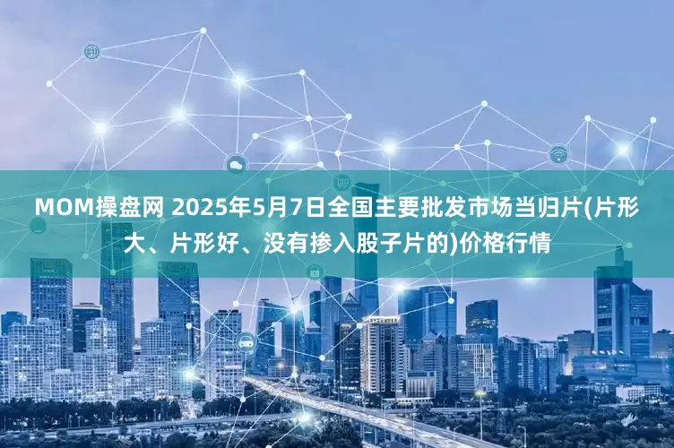 MOM操盘网 2025年5月7日全国主要批发市场当归片(片形大、片形好、没有掺入股子片的)价格行情